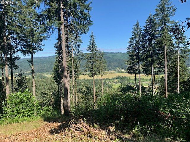 Alder Branch Rd Springfield, OR 97478 - Thumbnail 4