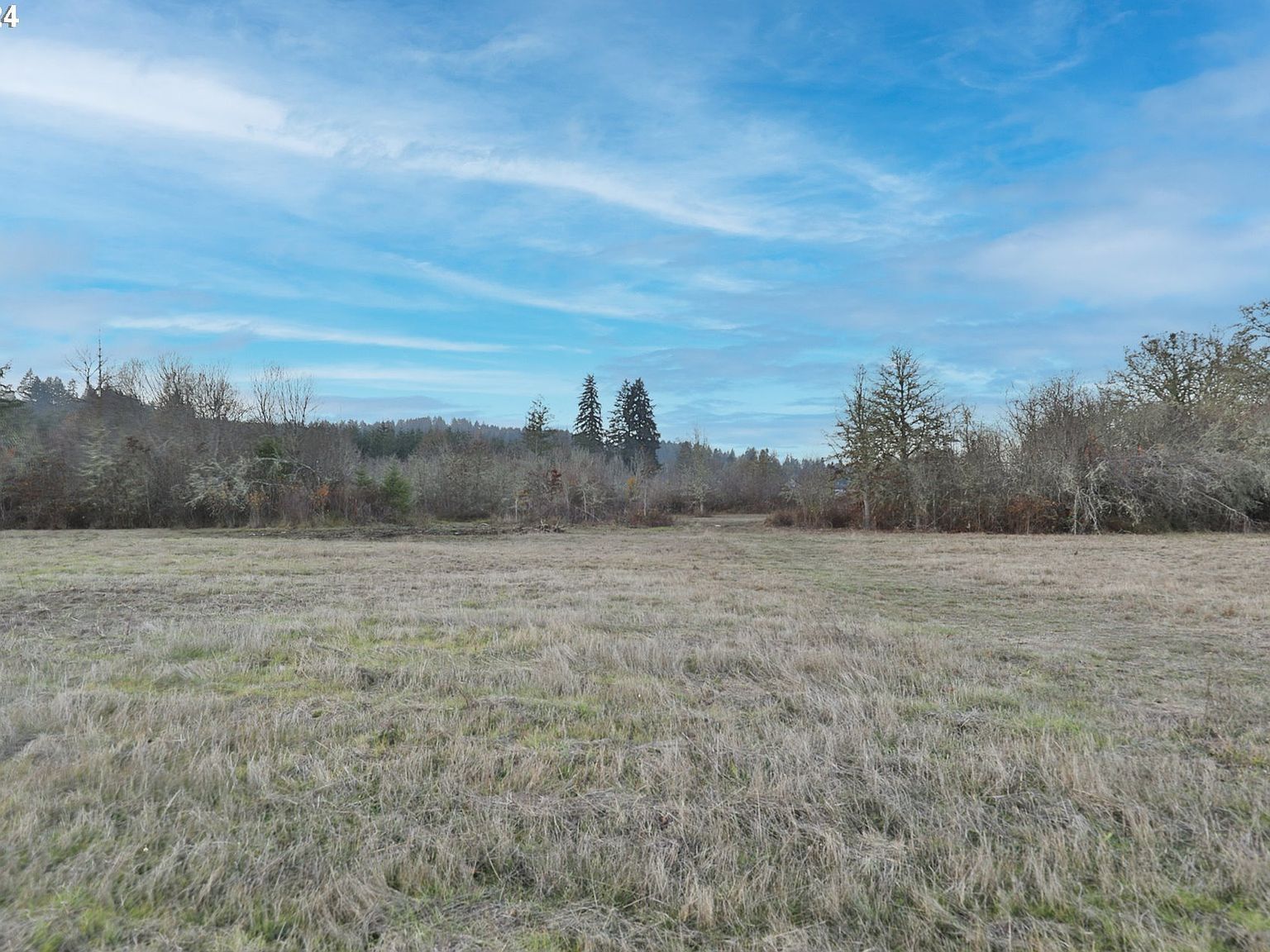 87678 Territorial Hwy Veneta, OR 97487 - Thumbnail 4