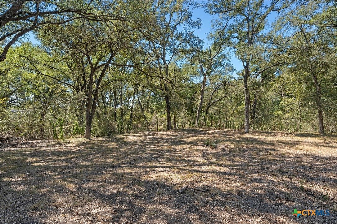 6.75 County Road 473 Lott, TX 76656 - Thumbnail 4