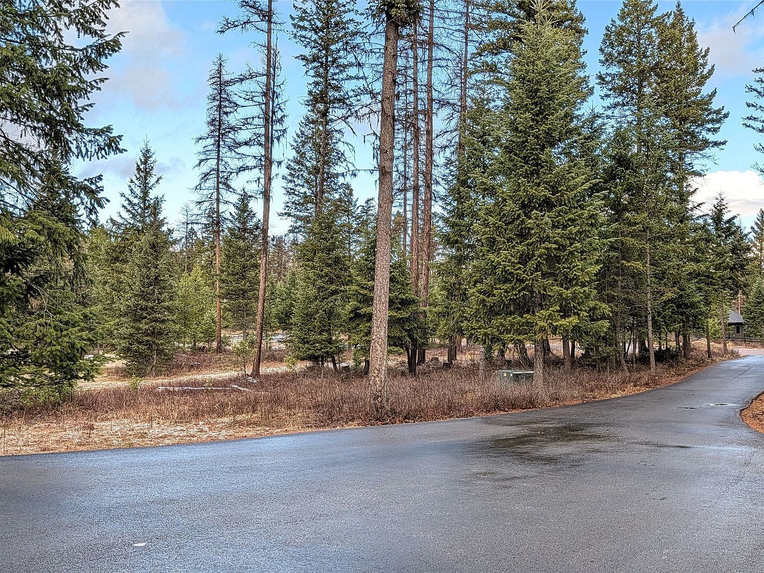 172 Meadow View Ct Whitefish, MT 59937 - Thumbnail 4