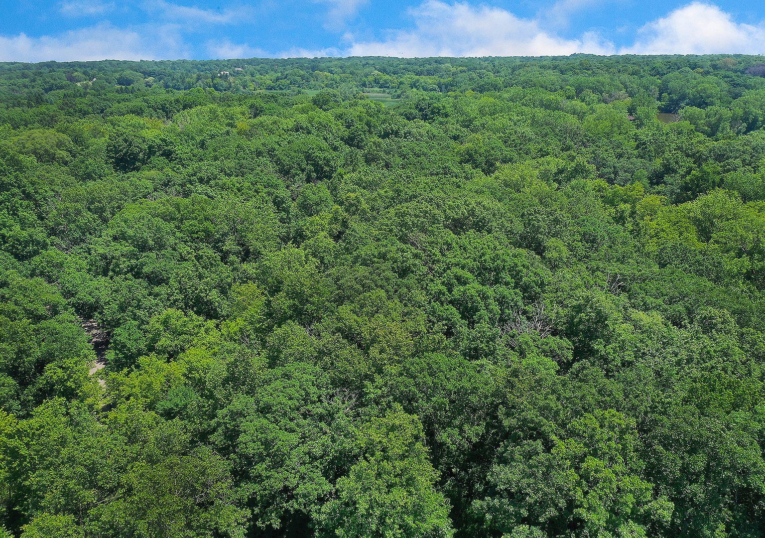 3733 Deerwood Dr Long Grove, IL 60047 - Thumbnail 4