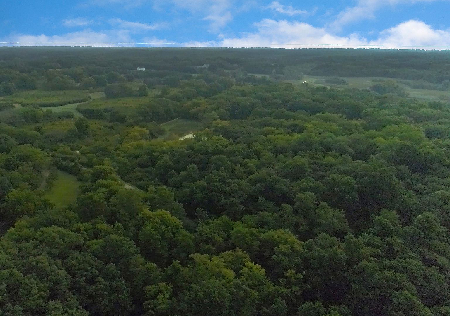 3734 Deerwood Dr Long Grove, IL 60047 - Thumbnail 4