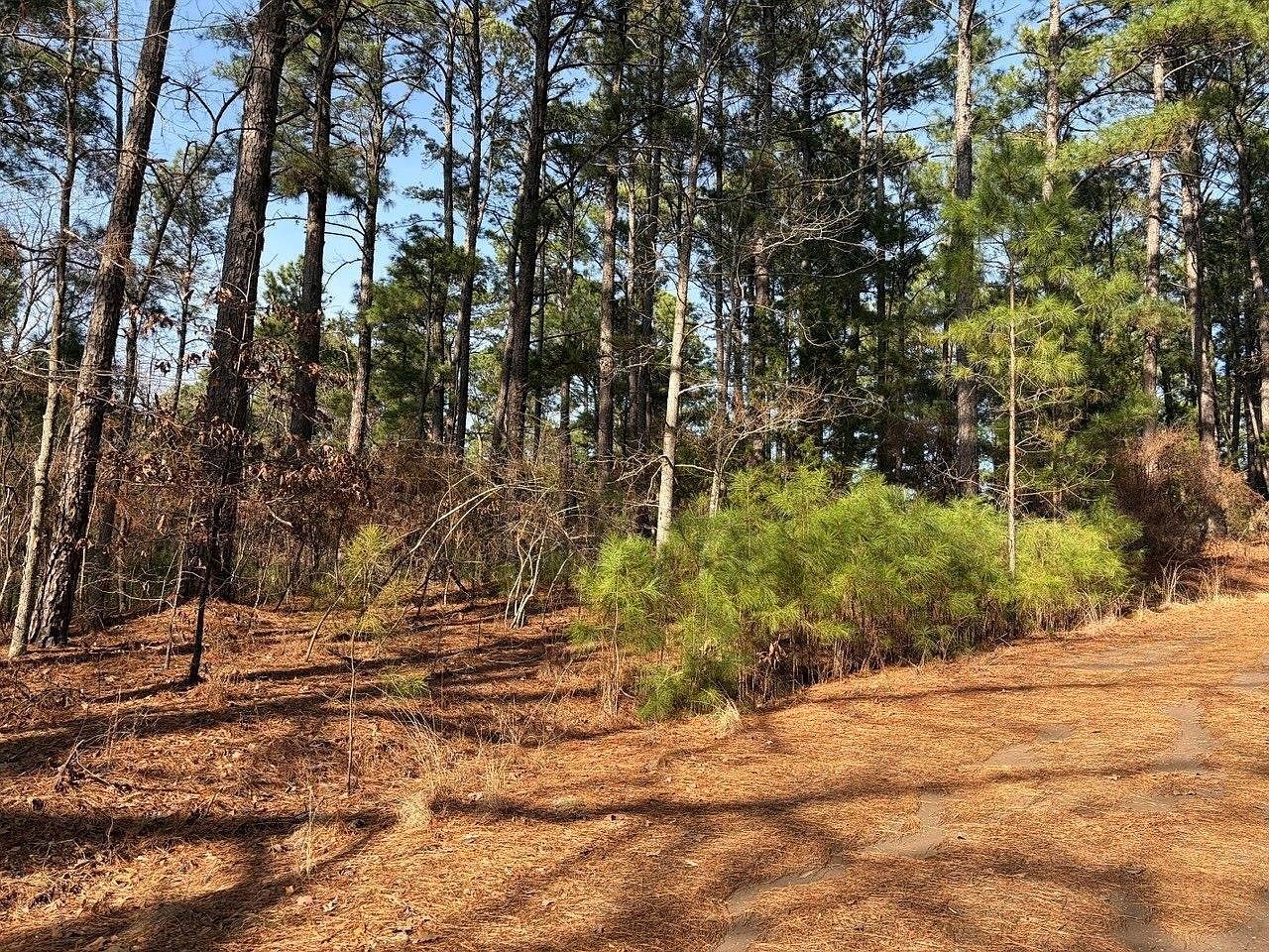 Lots 144 & 145 Silver Oaks Dr Flint, TX 75762 - Thumbnail 4