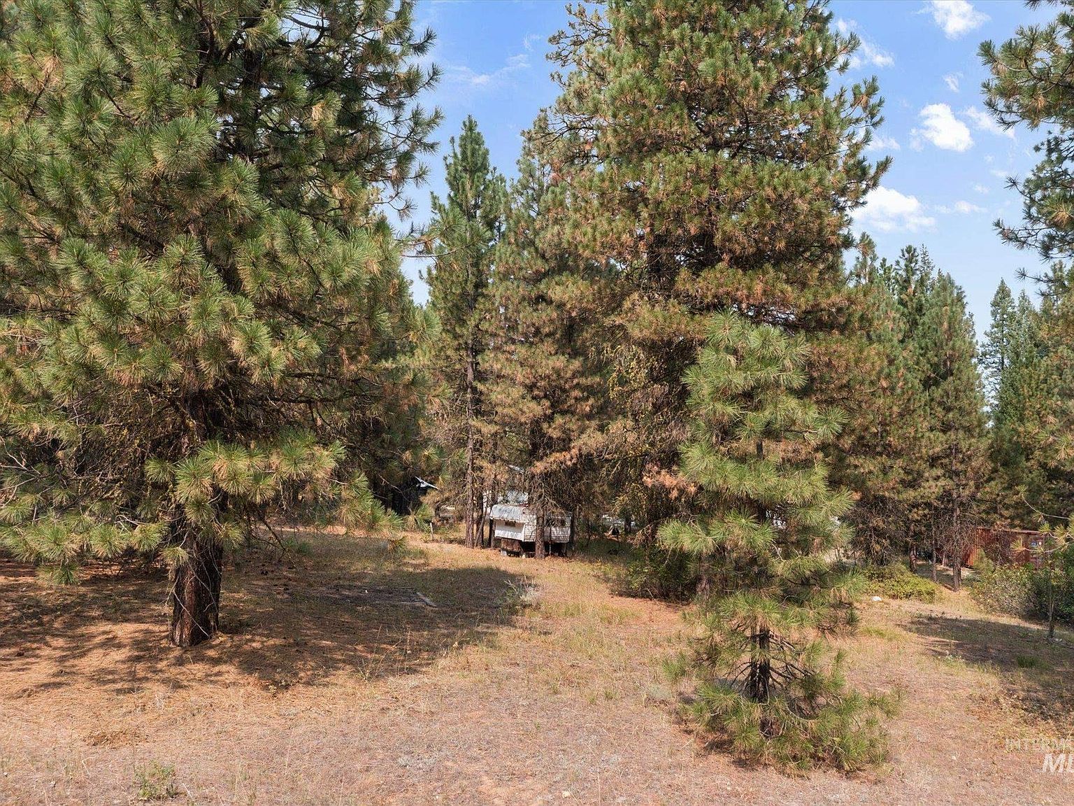 102 Nelsen Ave Idaho City, ID 83631 - Thumbnail 4