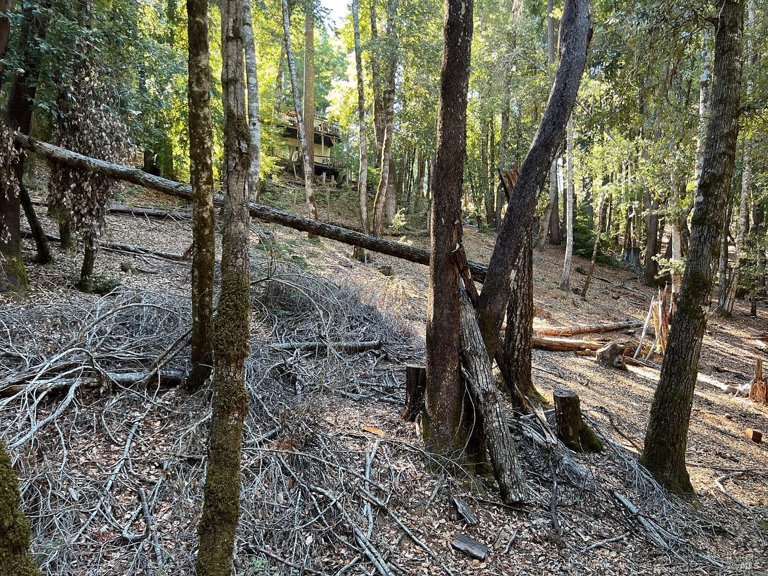 27208 Bear Dr Willits, CA 95490 - Thumbnail 4