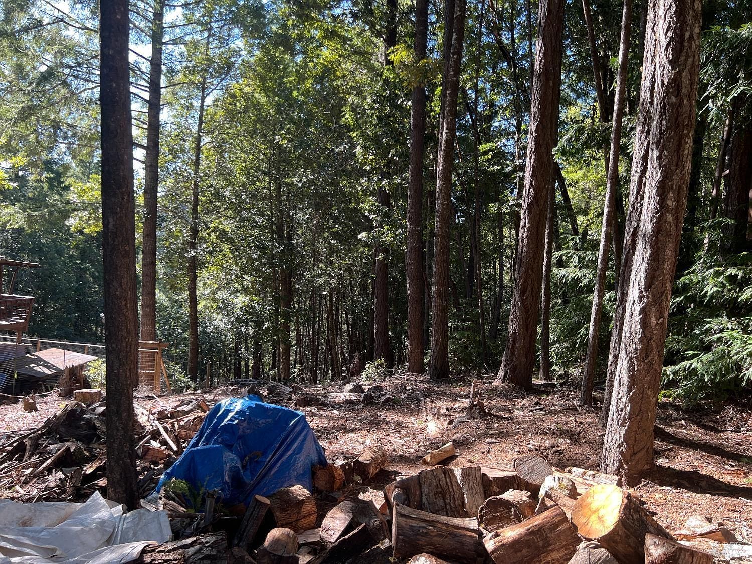 27178 Bear Dr Willits, CA 95490 - Thumbnail 4