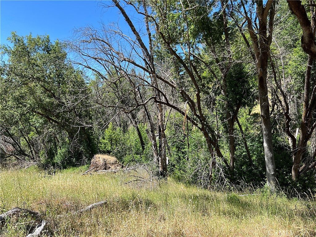 20925 Mid Mountain Rd Potter Valley, CA 95469 - Thumbnail 4