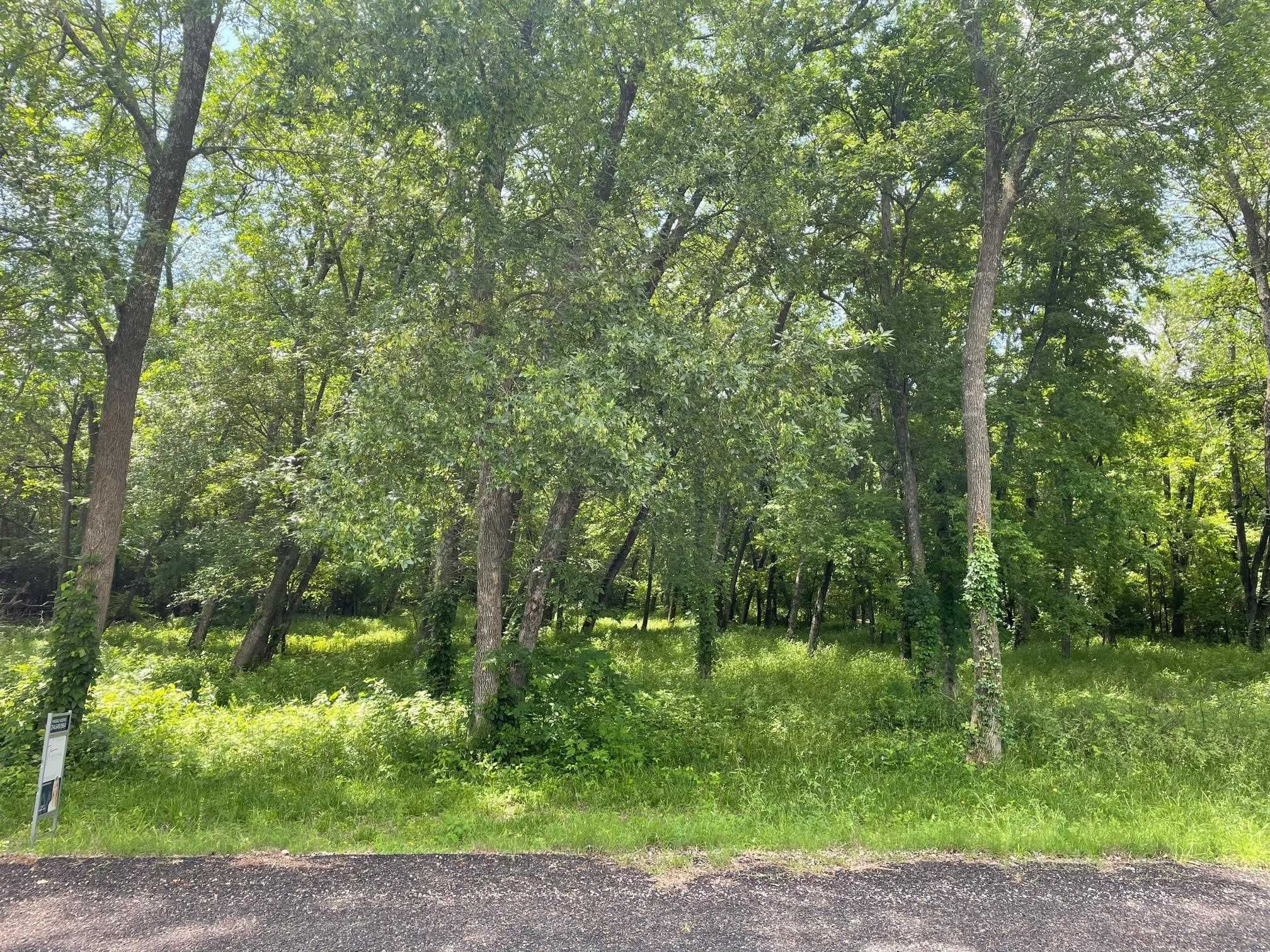 13 Forest Creek Lane, Anna, TX, USA, 75409 - Thumbnail 4