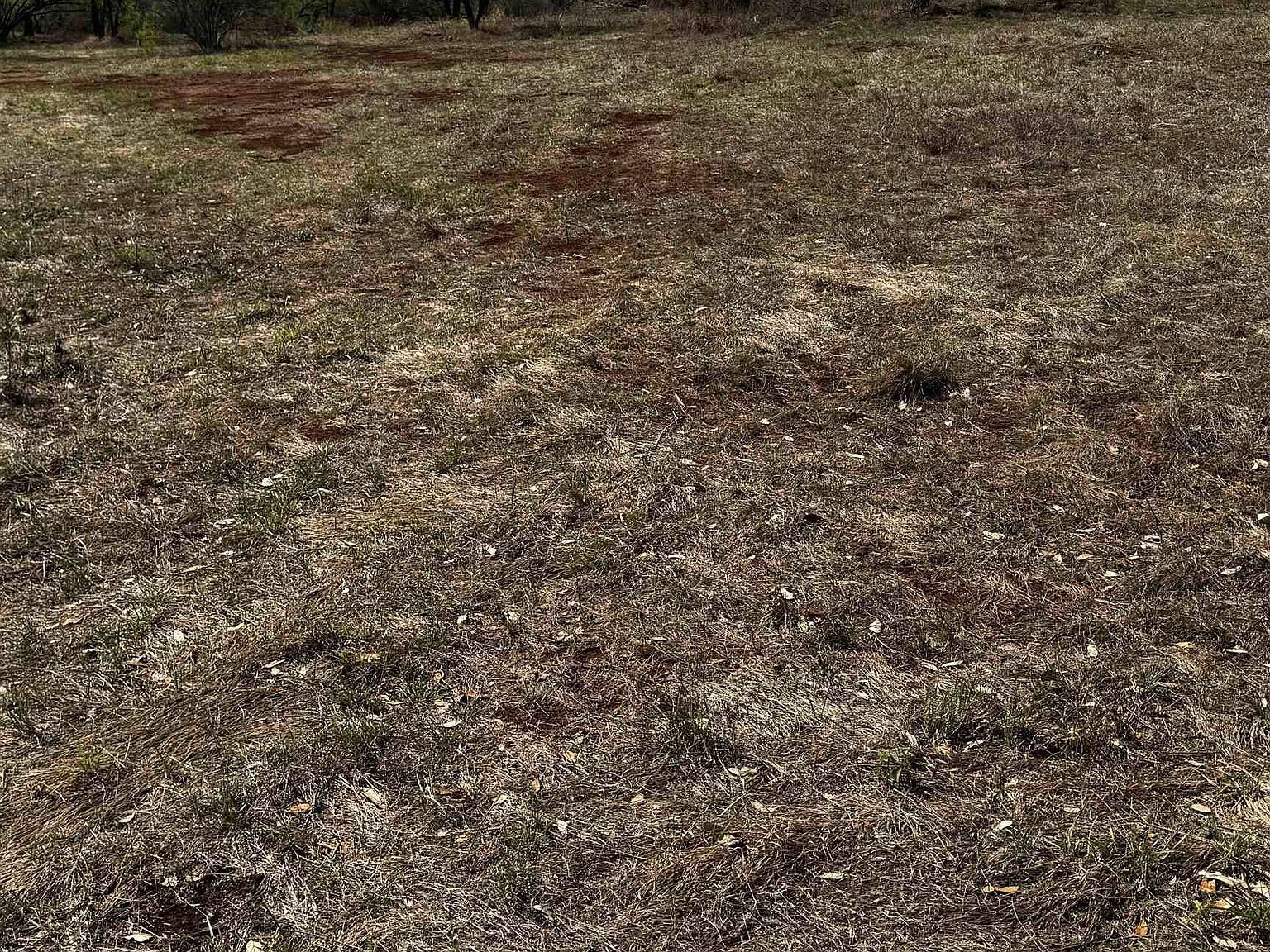 317 Red Wine Horseshoe Bay, TX 78657 - Thumbnail 4