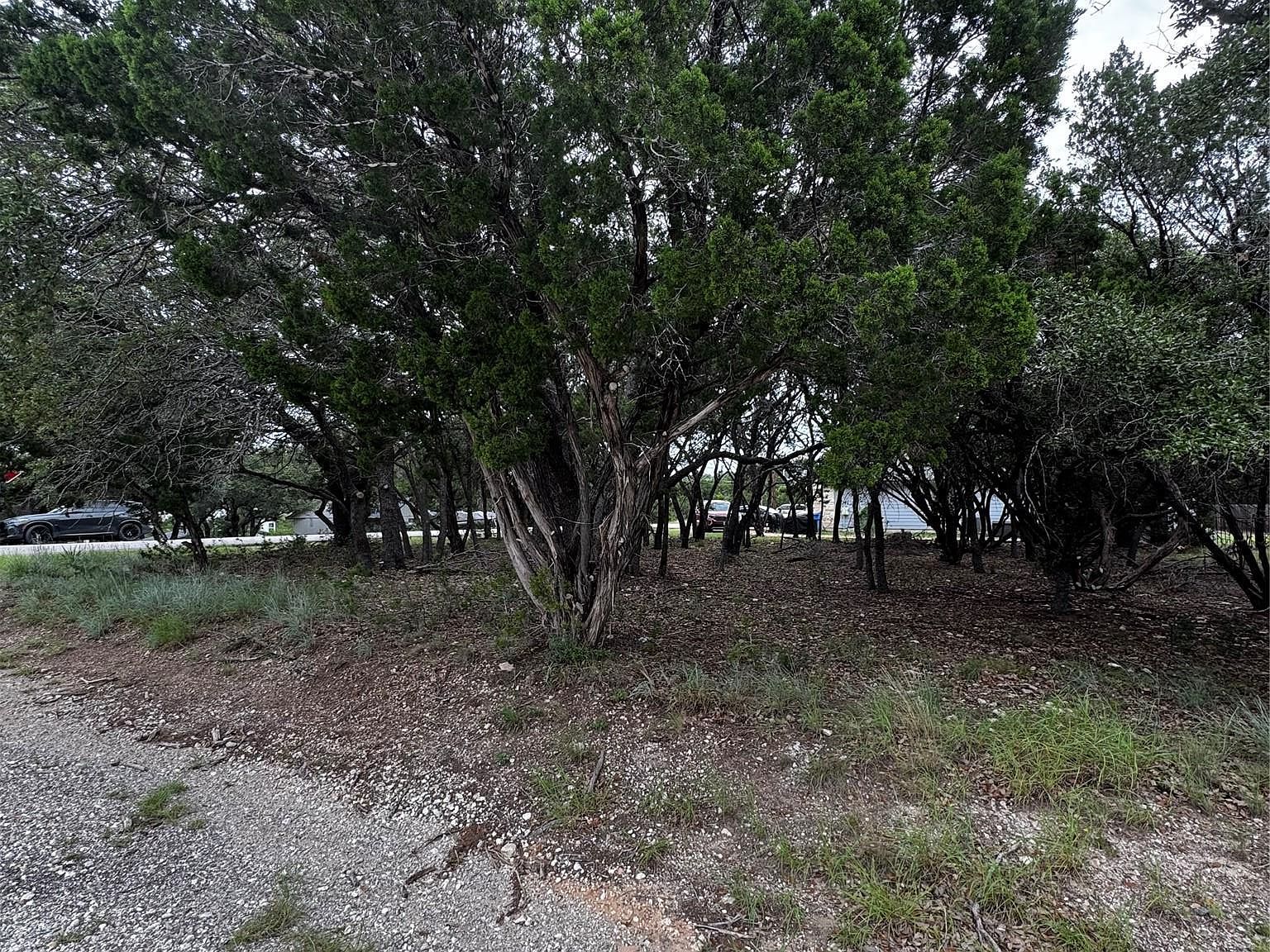 5103 Thunderbird Leander, TX 78645 - Thumbnail 4