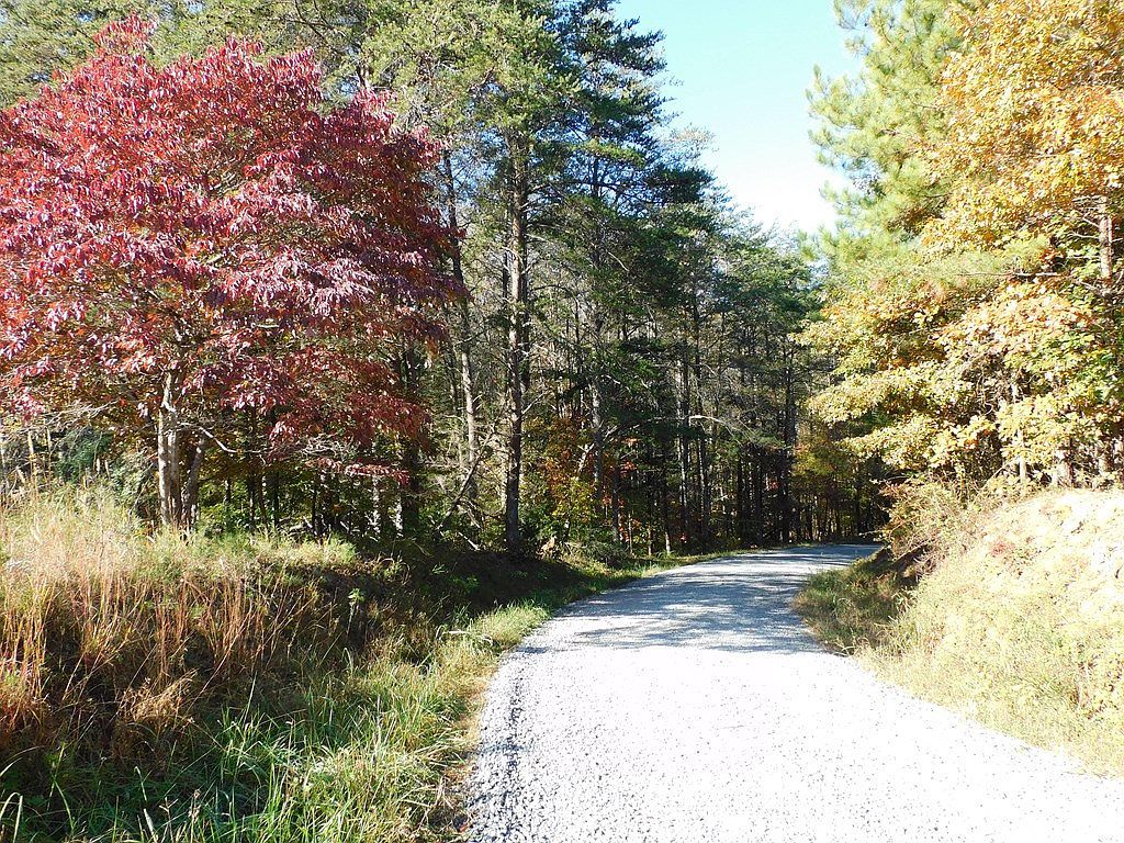 Grassland Dr Sandy Level, VA 24161 - Thumbnail 4