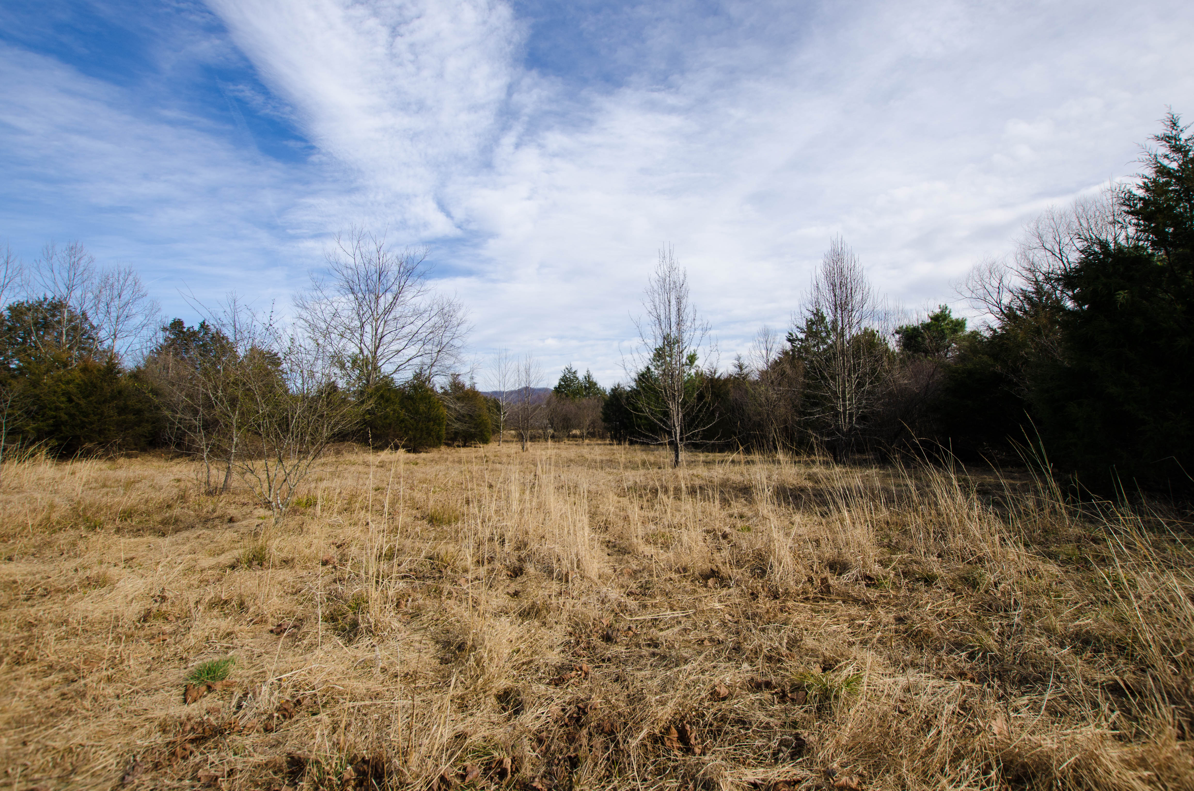 School House Lane, Nellysford, Rockfish, VA, USA, 22958 - Thumbnail 4