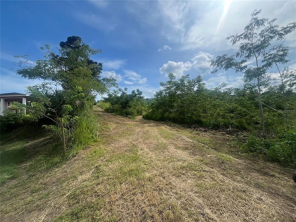 Km Carr #HOME 17.7-150 Coamo, PR 00769 - Thumbnail 4