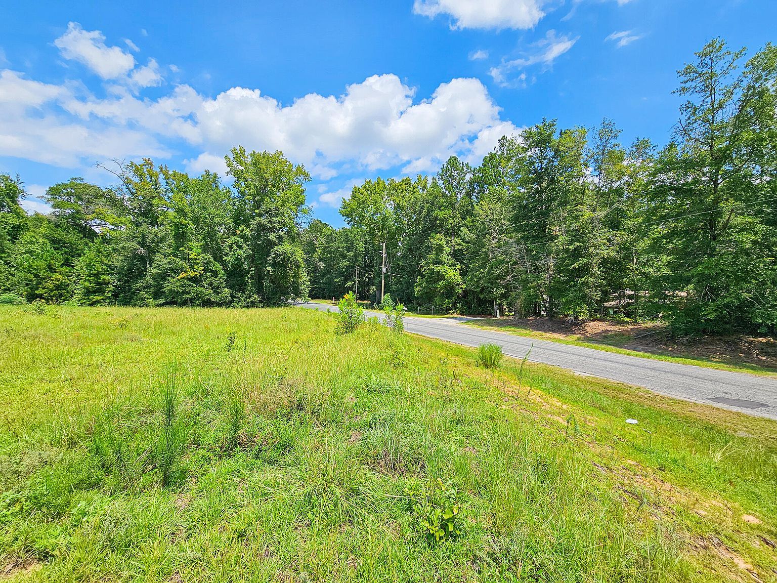 0 Bells Highway & Jones Cp Walterboro, SC 29488 - Thumbnail 4