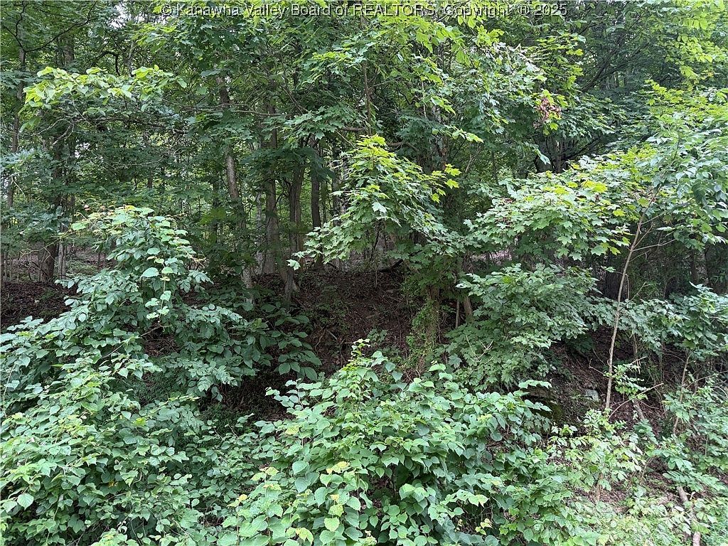 1037 Maccorkle Ave SW Saint Albans, WV 25177 - Thumbnail 4