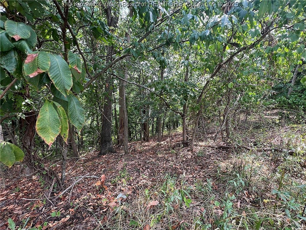 0 Suncrest Pl, South Charleston, WV, 25303 - Thumbnail 4