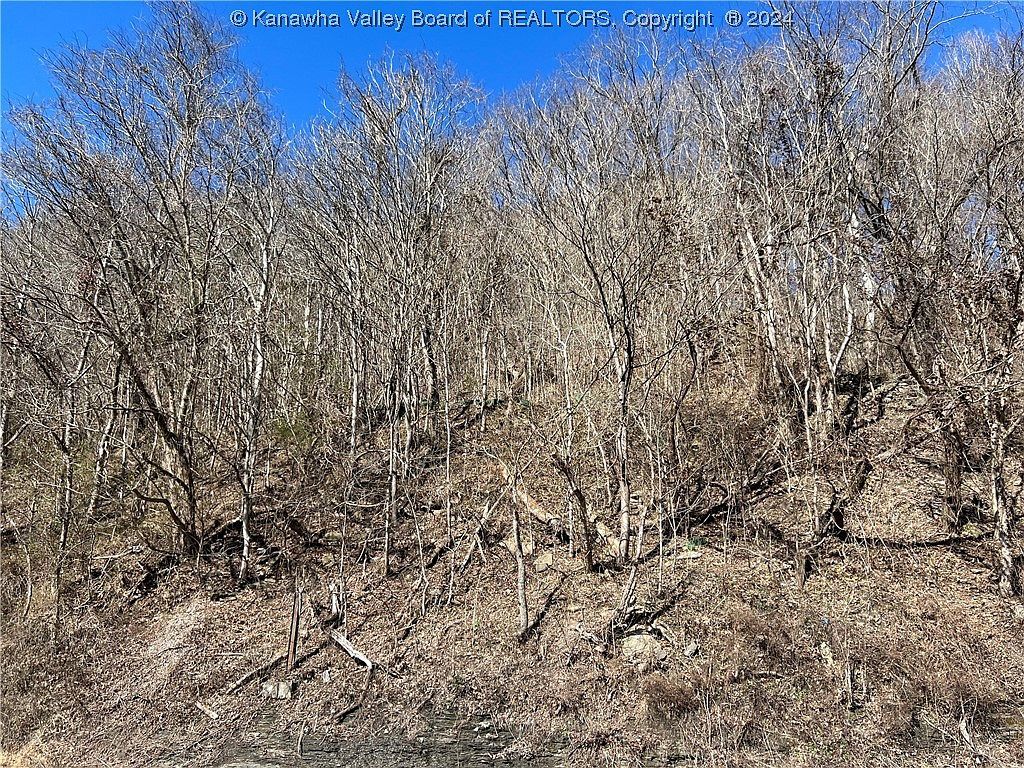 7245 E Dupont Ave Glasgow, WV 25086 - Thumbnail 4