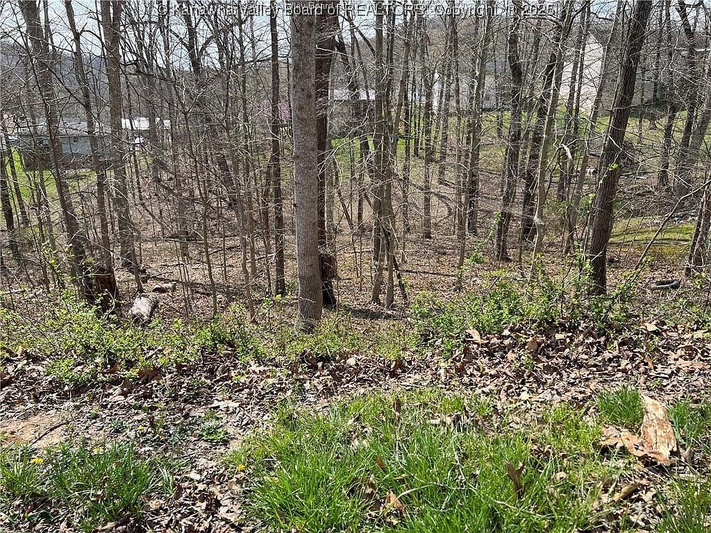 1189 Hillcrest Dr Saint Albans, WV 25177 - Thumbnail 4