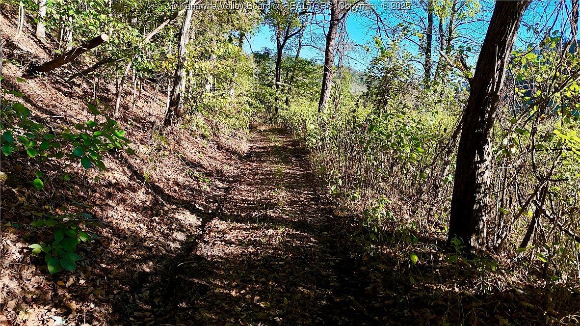 0 Harmons Creek Rd Poca, WV 25159 - Thumbnail 4