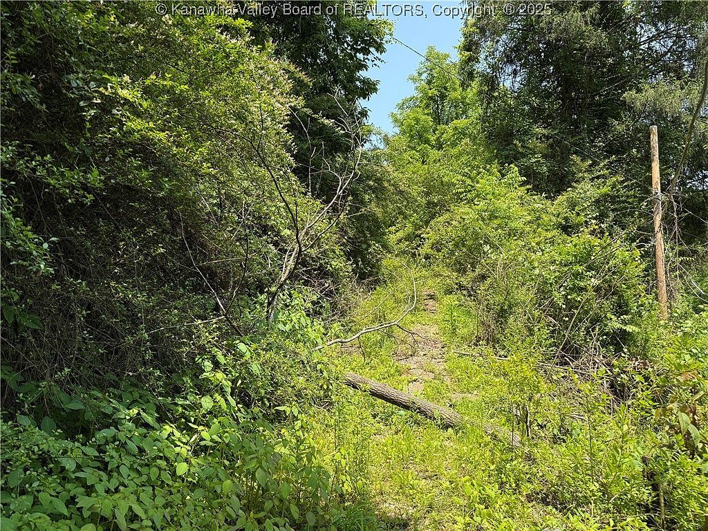 225 Pine St Charleston, WV 25311 - Thumbnail 4