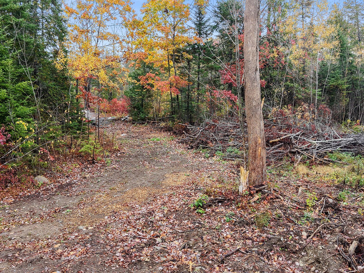 177 Shaw Hill Rd Hampden, ME 04444 - Thumbnail 4