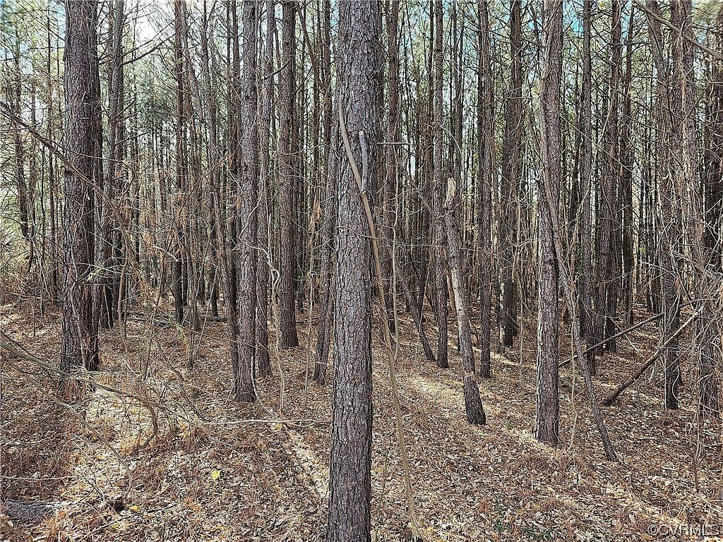 2613 Jackson St South Chesterfield, VA 23834  | Land/Lot