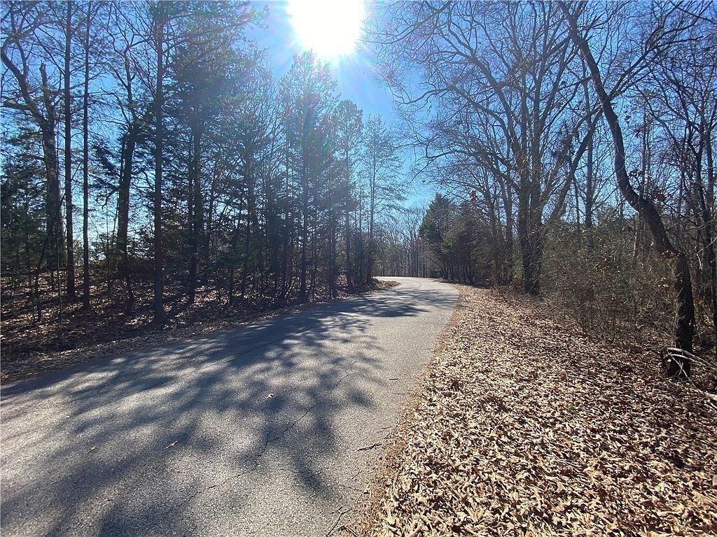 5 Majestic Shores Rd Hartwell, GA 30643 - Thumbnail 4