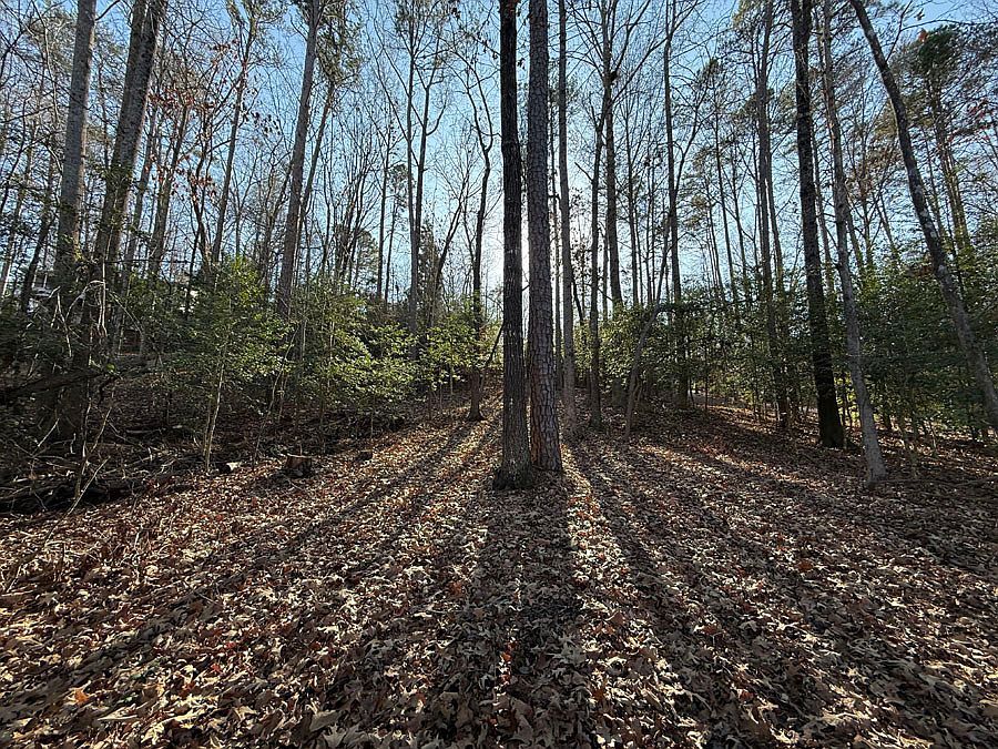 133 Sweet Gum Dr Westminster, SC 29693 - Thumbnail 4