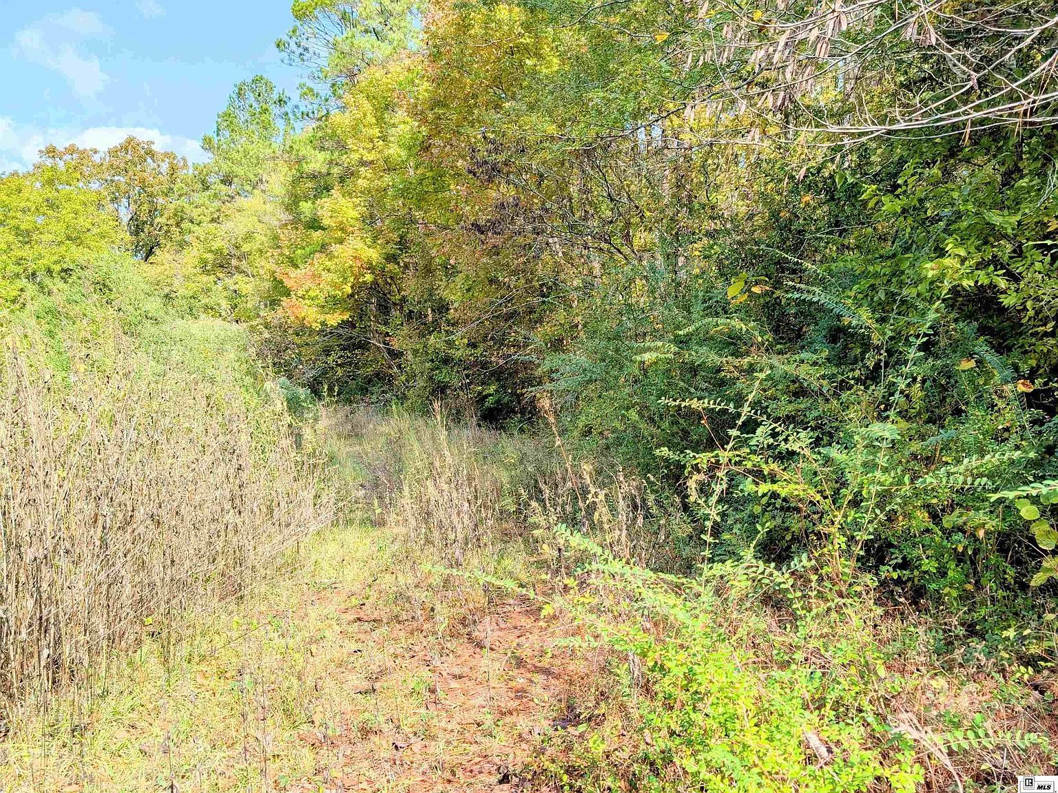 0 Rodeo St Jonesboro, LA 71251 - Thumbnail 4