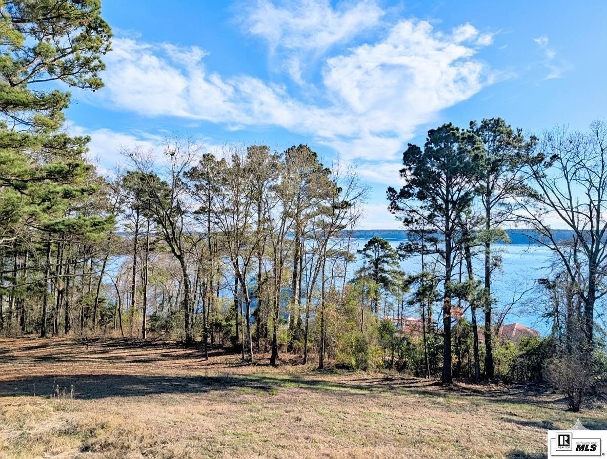 1402 Terral Island Rd Farmerville, LA 71241 - Thumbnail 4