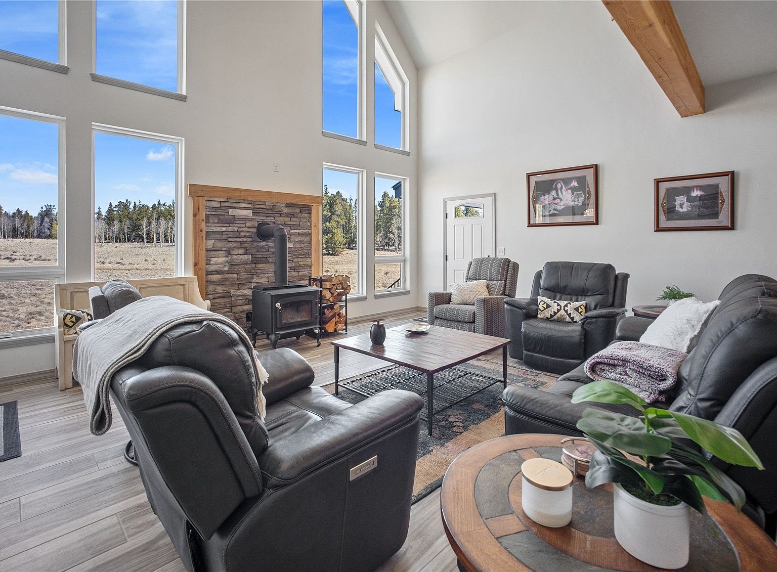 247 Foxtail Ct Fairplay, CO 80440 - Thumbnail 4