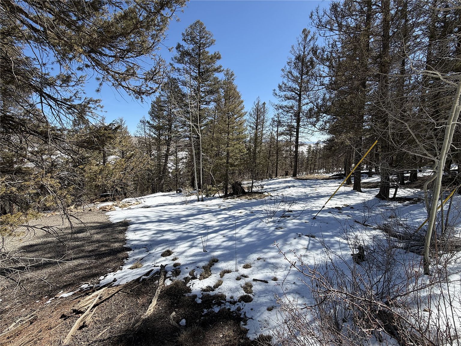 806 Middle Fork Vis Fairplay, CO 80440 - Thumbnail 4