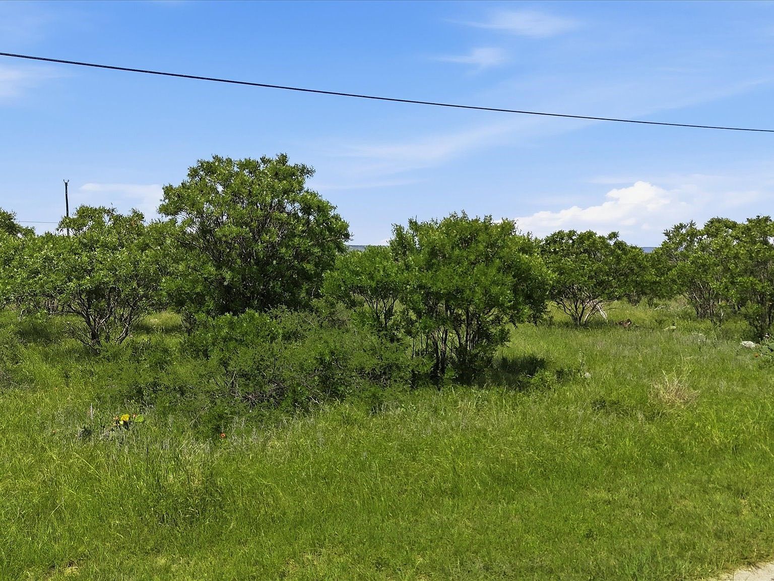 235 Neeleys Slough Dr Graford, TX 76449 - Thumbnail 4