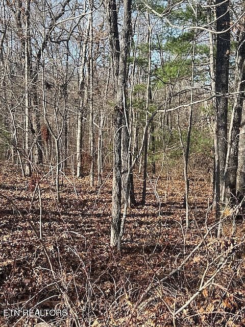 9142 Weketa Cir Crossville, TN 38572 - Thumbnail 4