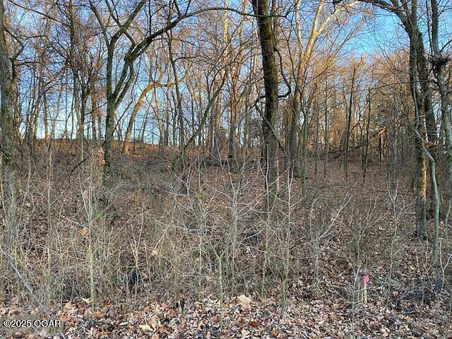 Xx N Ozark Ave #15/16 Joplin, MO 64801 - Thumbnail 4