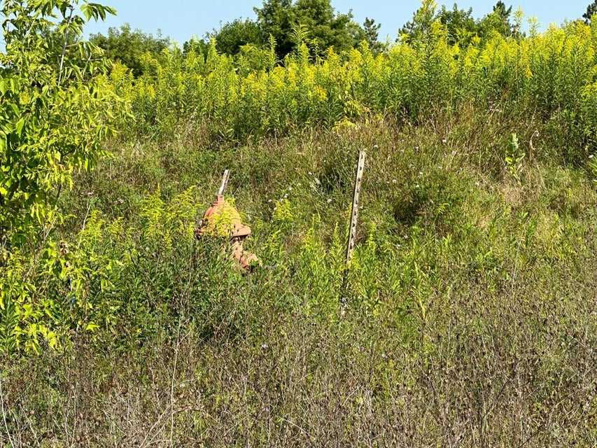 Lt 1 Evergreen Pkwy, Elkhorn, WI, USA, 53121 - Thumbnail 4