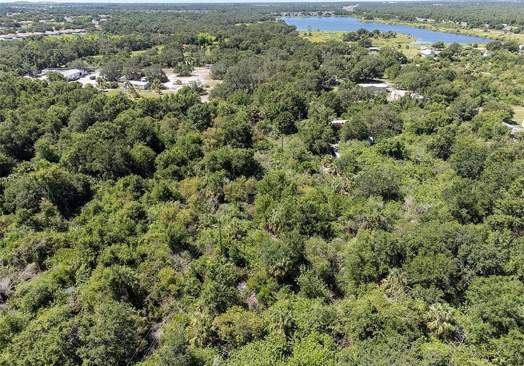 12020 Bullfrog Creek Rd Gibsonton, FL 33534 - Thumbnail 4