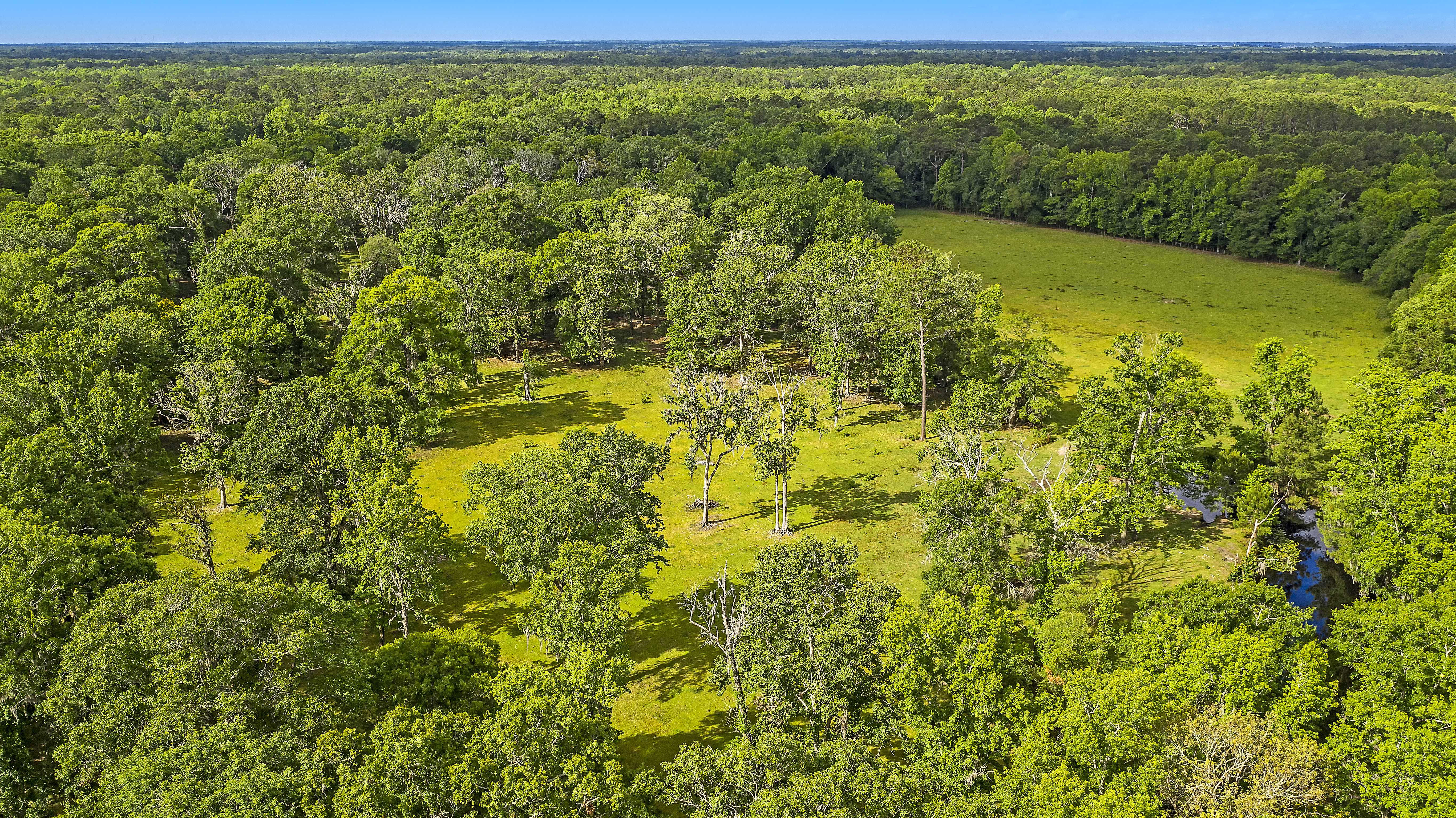 3691 Humbert Road, Johns Island, SC, USA, 29455 - Thumbnail 4