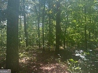 0 Rockhouse Rd #5 Waleska, GA 30183 - Thumbnail 4