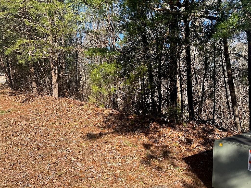 924 Whistler Ln LOT 66 Canton, GA 30114 - Thumbnail 4