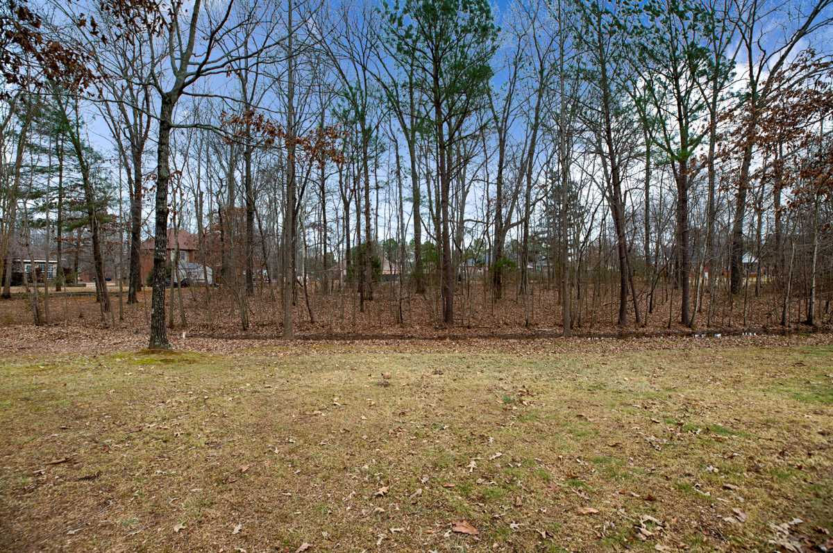 105 Honey Brook Drive, Toney, AL, USA, 35773 - Thumbnail 4