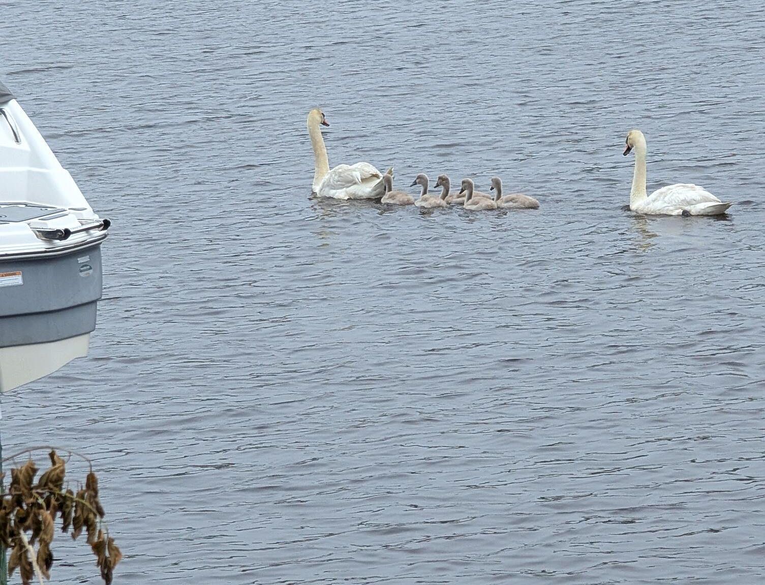 9 Hollywood Blvd S Forked River, NJ 08731 - Thumbnail 4