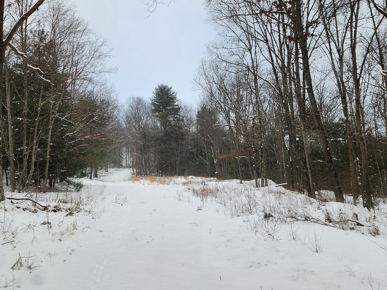 Berma Rd Drifting, PA 16834 - Thumbnail 4