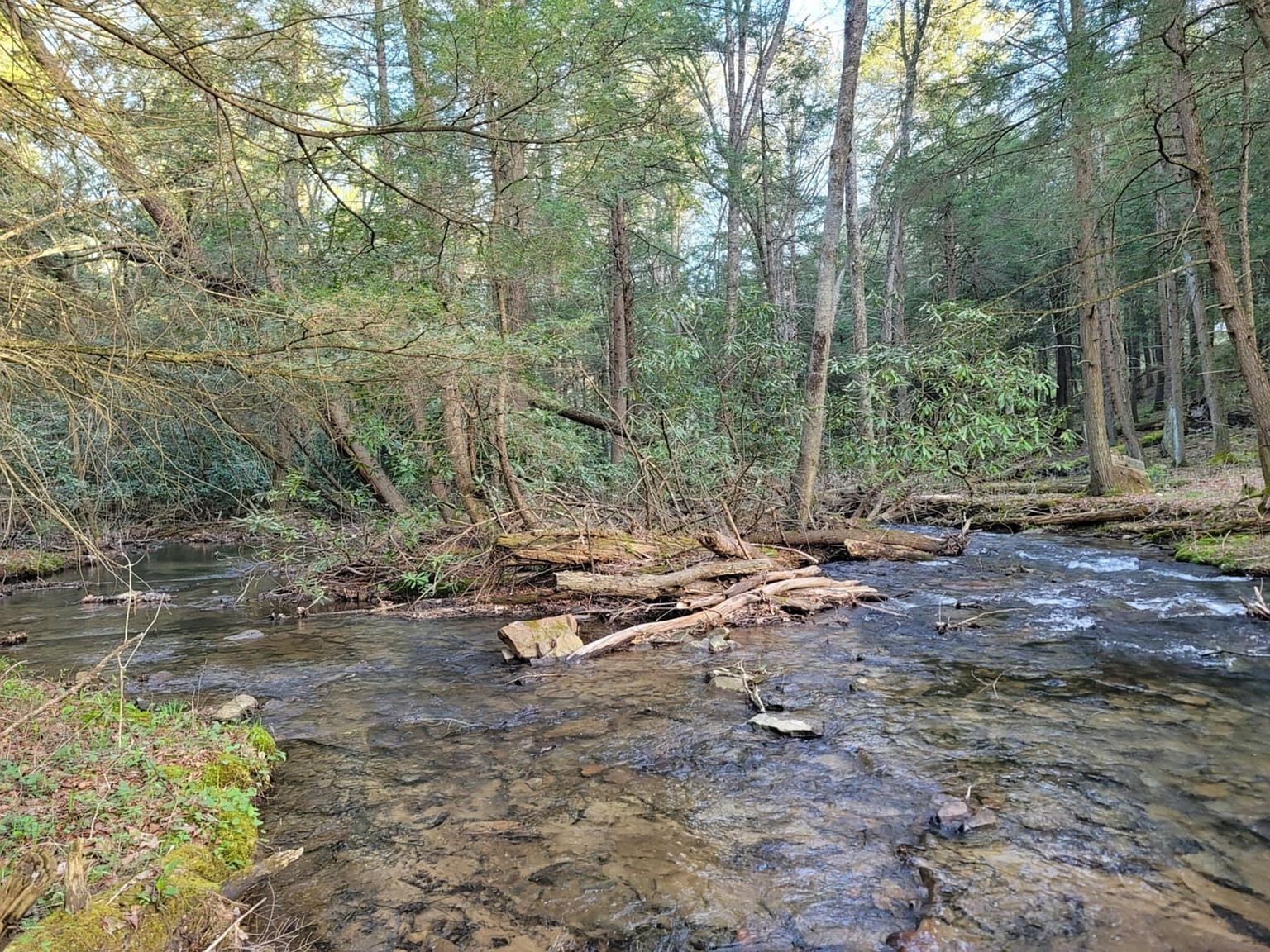 Back Hill Rd Pottersdale, PA 16871 - Thumbnail 4