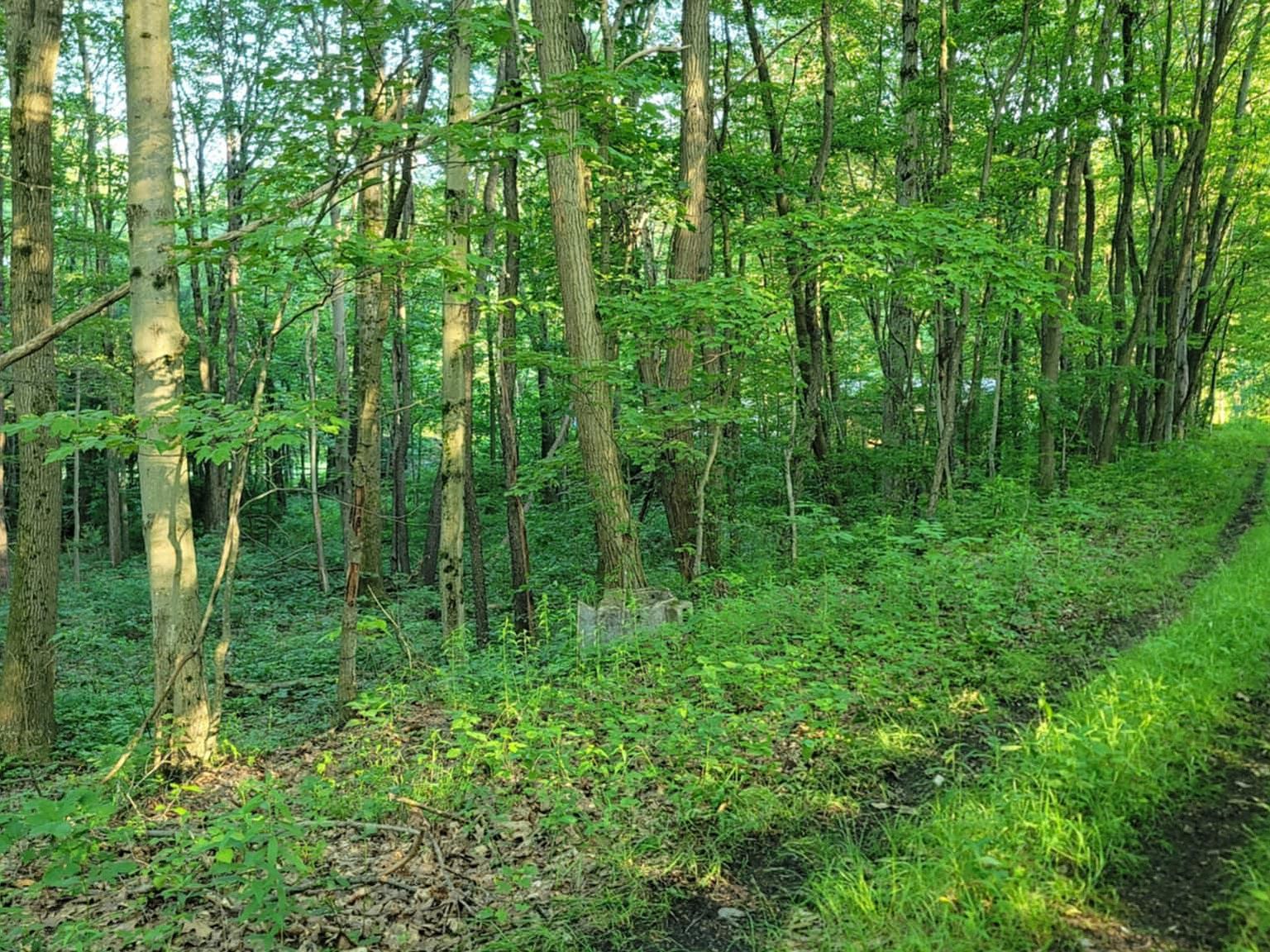 Philipsburg Bigler Hwy Woodland, PA 16881 - Thumbnail 4