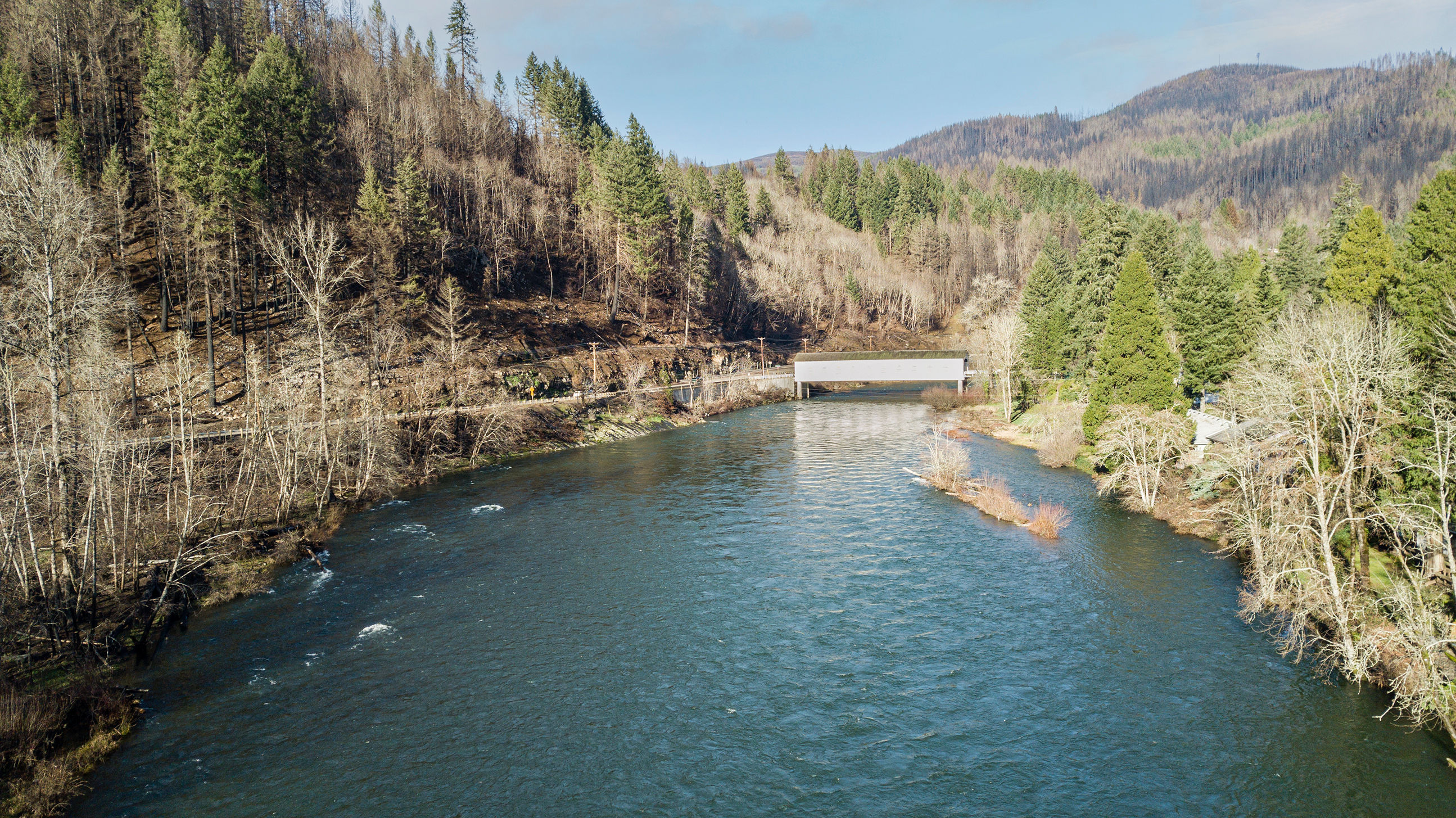 91014 Leashore Drive, Vida, OR, USA, 97488 - Thumbnail 4