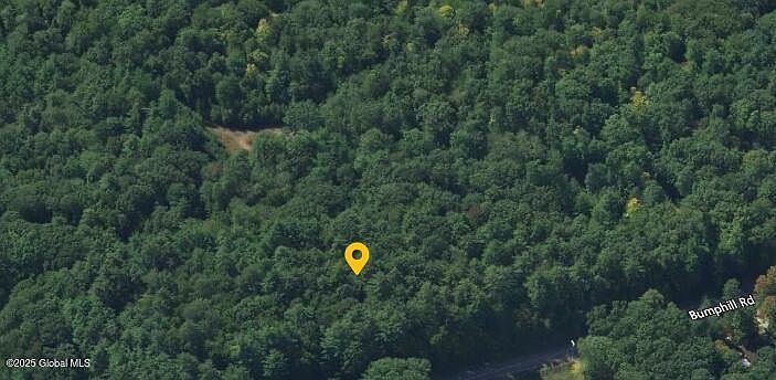 24 Bumphill Rd Greenfield Center, NY 12833  | Land/Lot