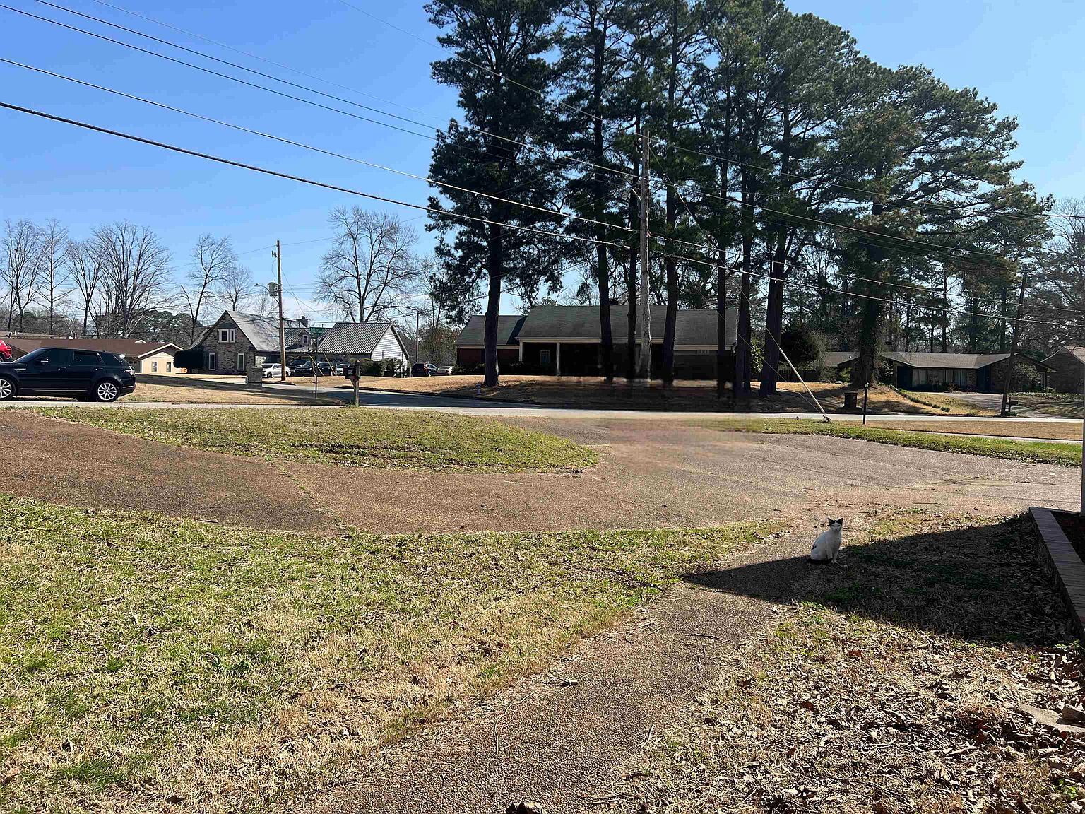 3953 Otter Dr Memphis, TN 38128 - Thumbnail 4