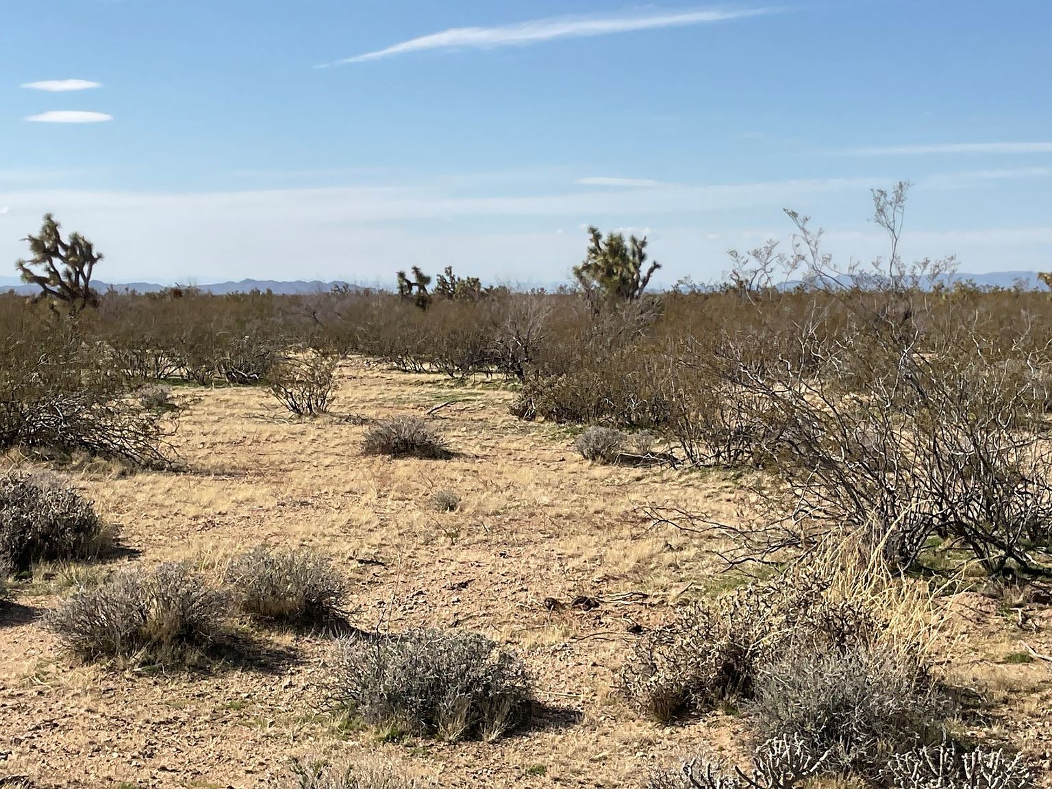 E Red Barrel Dr Yucca, AZ 86438 - Thumbnail 4