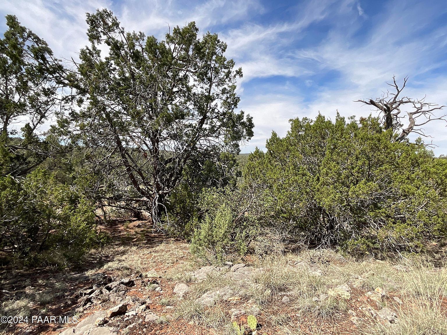 LOT 162 Forest Ln Seligman, AZ 86337 - Thumbnail 4